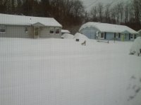 snow 002.jpg