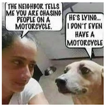 1747442217800.png