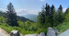 IMG_8335.JPG
