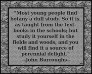JohnBurroughs-03.gif