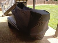 IMG_20250710_125455034.jpg