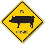 pig3.jpg