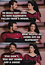 trek2.jpg