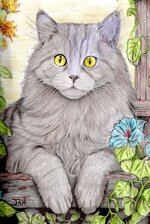 Barn Cat-474x640.jpg