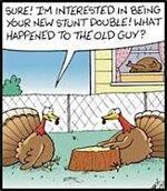 stunt-double.jpeg