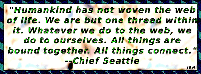 ChiefSeattle-04.gif