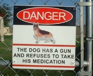 sign-dog-wgun.jpg