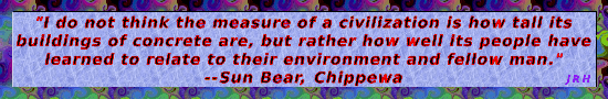 SunBear-Chippewa-05.gif
