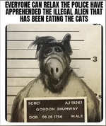 Screenshot 2025-12-24 at 11.37.10 AM.png