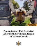 Phil deported.jpeg