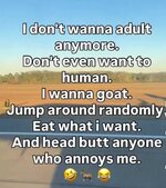 goat.jpeg