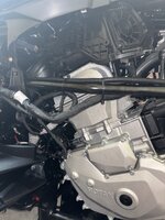 IMG_5201.jpeg