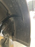 IMG_3098.jpeg