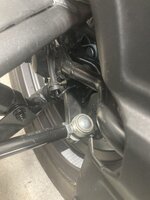 IMG_3111.jpeg