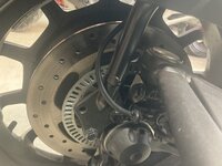 IMG_3110.jpeg