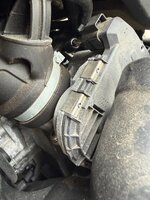 IMG_3027.jpeg