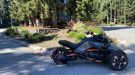 IMG_6190.jpeg