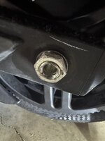 IMG_1274.jpeg