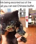 IMG_3229.JPG
