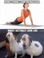 think-look-doing-yoga-actually-look-like.jpg