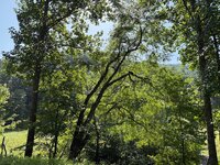 IMG_1048.jpeg