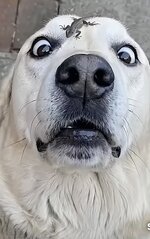 IMG_1194.jpeg