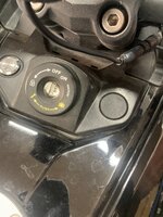 IMG_7841.jpeg