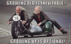 IMG_6846.jpeg