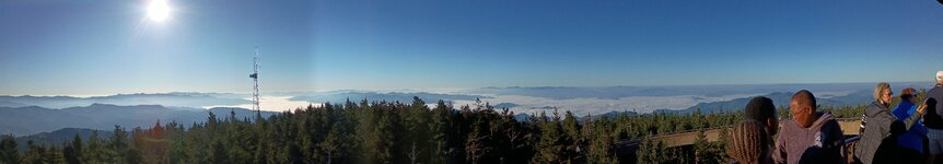 IMG_20261014_085917367.jpg