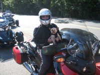 IMG_2654.jpg