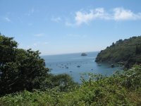 IMG_2676.jpg