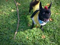 2011-09-15 15.17.22[7].jpg