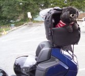 kiddocarrier.jpg