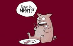 Bacon is WHAT.jpg