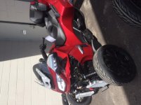 IMG_3251.jpg