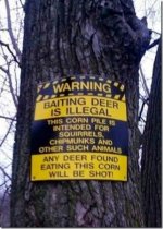 Deer Baiting.jpg