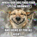 Funny-Dog-15.jpg