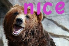 bearnice.jpg