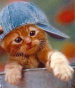 hat.jpg
