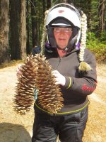 Yosemite Park 020.jpg