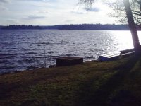 New Years 005.jpg