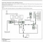 oil flow 2.jpg