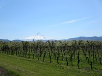 Hood River Ride 4-9-16 005.jpg
