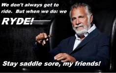 Stay Saddle sore.jpg