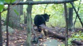 2012-10-10_11-56-42_168.jpg