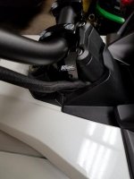 20180703_ROX1.jpg