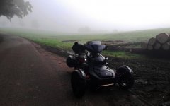 nebel.jpg