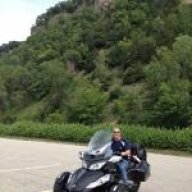 Boris the Spyder