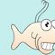 fishbulb
