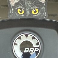 Black Cat